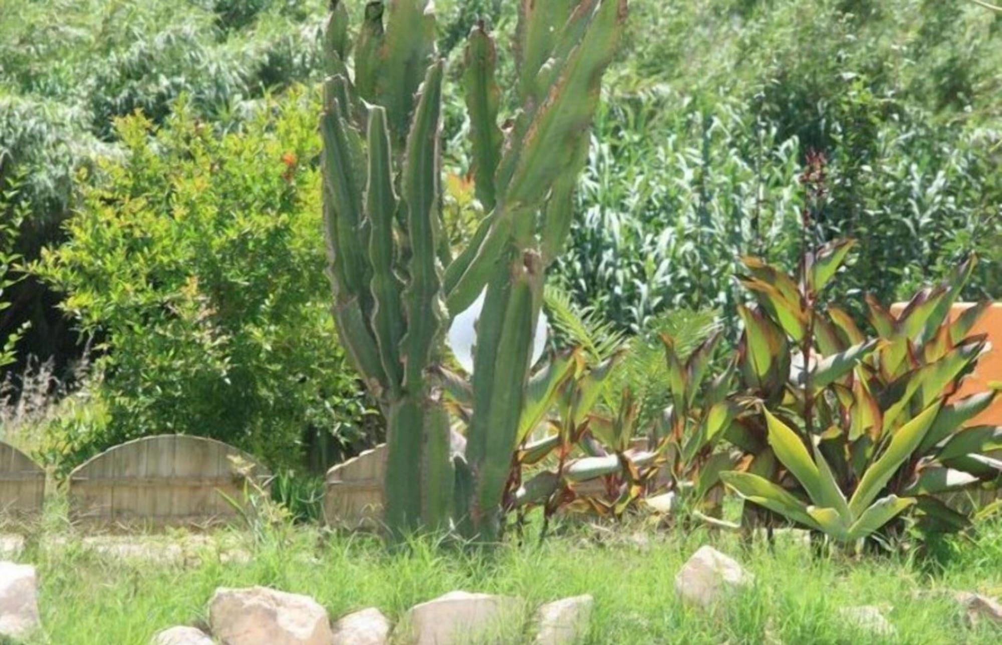 Villa El Minero Gonnesa Exteriér fotografie